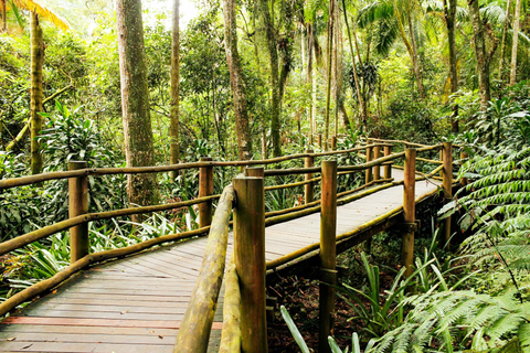 São Paulo Botanical Garden Private Guided Tour & Transport 3-hour: Botanical Garden Tour & Transport