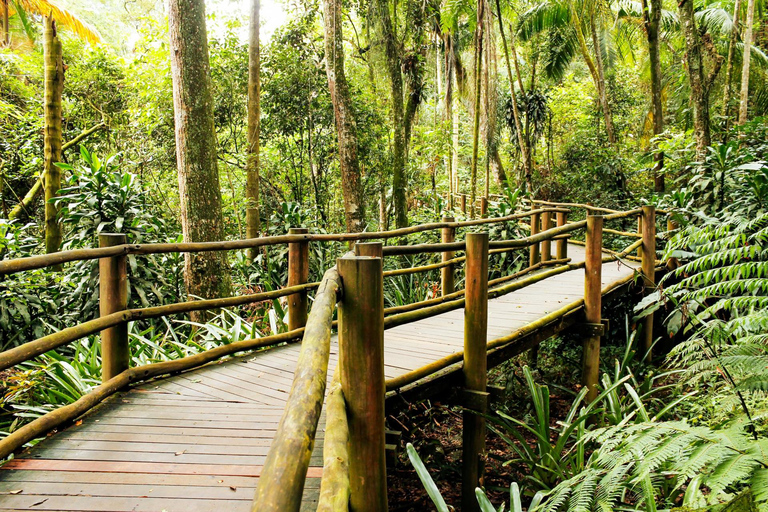 São Paulo Botanical Garden Private Guided Tour & Transport 3-hour: Botanical Garden Tour & Transport
