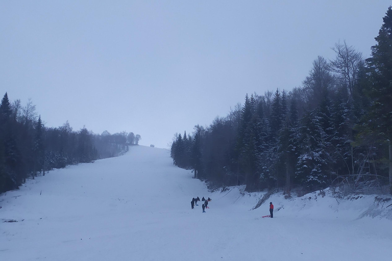 Bjelasica dla smakoszy i miłośników przyrody: lunch w cenie