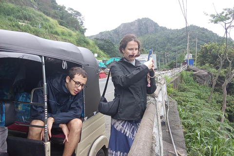 Kandy to Sigiriya Day Tour