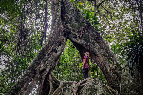 Hiking tour of three beaches and a waterfall in the Juatinga Reserve, Paraty