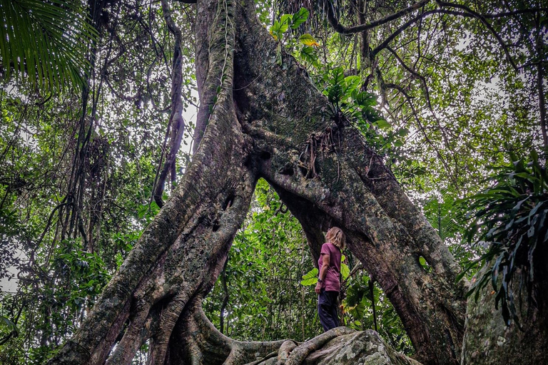 Hiking tour of three beaches and a waterfall in the Juatinga Reserve, Paraty