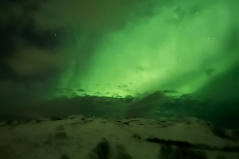 Tromsø: recorrido en busca de la aurora boreal con aperitivos y bebidas