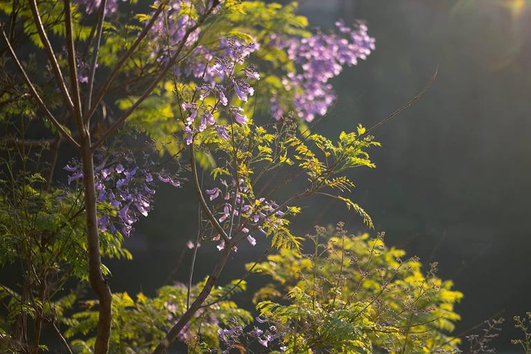 Kigali: Lake Kivu Day Trip with Boat cruise and Lunch