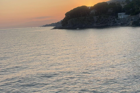 Tour of Genoa and the Ligurian Riviera: From Genoa to Portofino