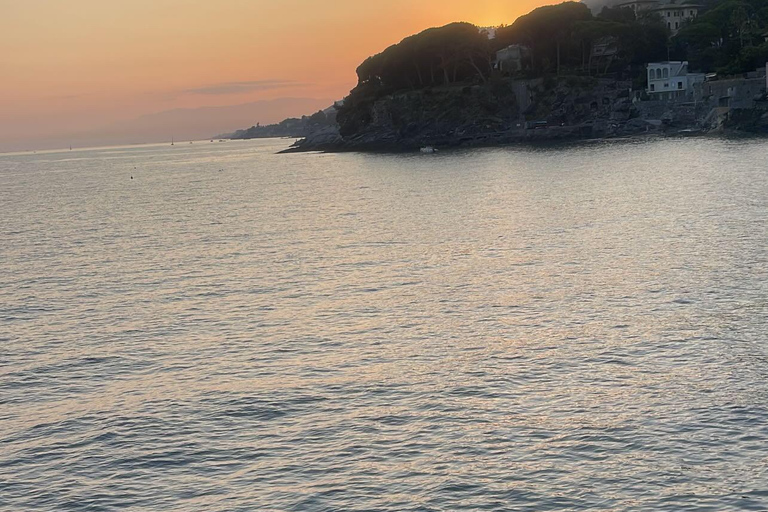 Tour of Genoa and the Ligurian Riviera: From Genoa to Portofino