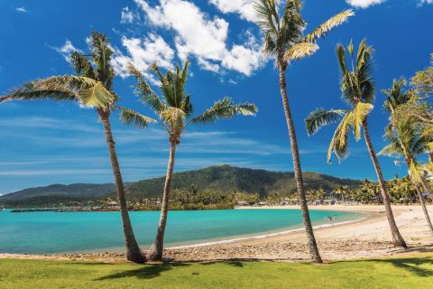 The Airlie Beach Hopper Hop on Hop off Sightseeing Bus