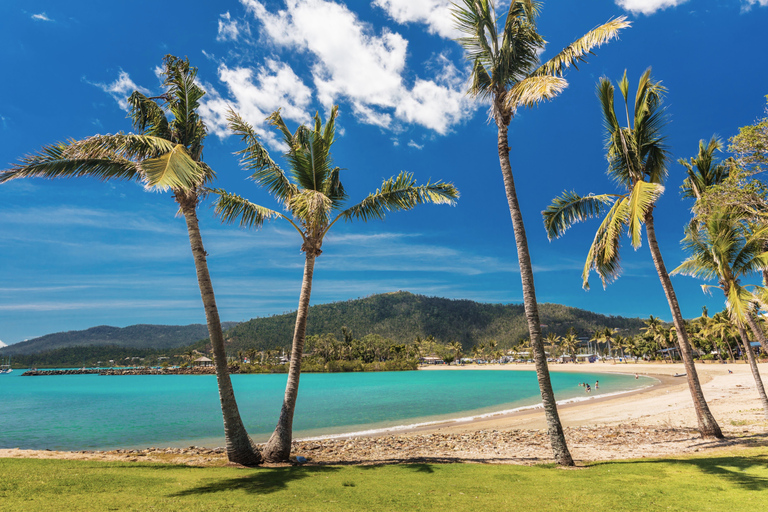 Airlie Beach: Hopper sightseeingbuss med lunch