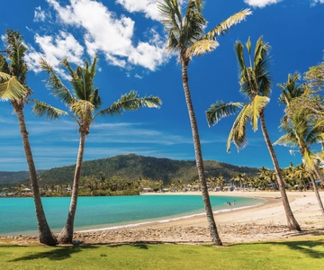 Airlie Beach: Ônibus turístico Hopper com almoço