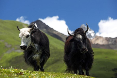 Bhutan: 12-Day Bumthang Valley Trek and Cultural Tour