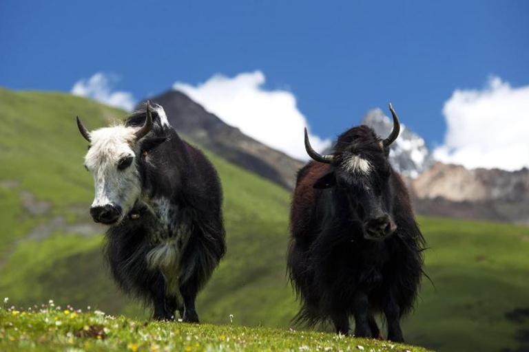 Bhutan: 12-Day Bumthang Valley Trek and Cultural Tour