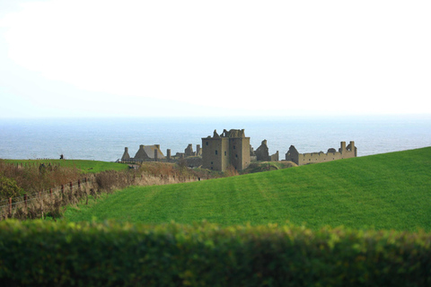 De Edimburgo: 6 dias de exploração de Shetland e NothernmostShetland Explorer de 6 dias -- Quarto duplo/duplo