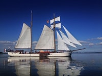 Usedom, recorrido de vela en el exclusivo barco alto el jueves - Housity