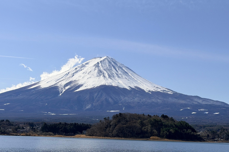 Tokyo: Private Daytrip to Mount Fuji - Fully Customizable Mt Fuji Private Luxury Van Tour (Customizable Experience)