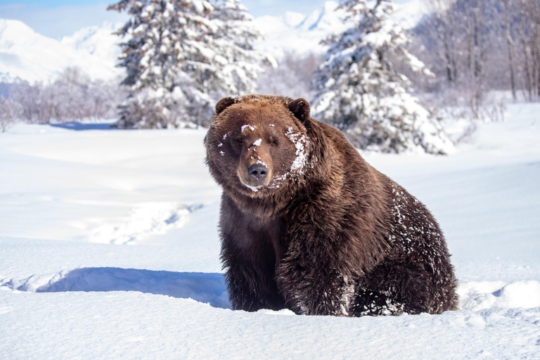 Centre de conservation de la faune de l'Alaska : billet d'entrée