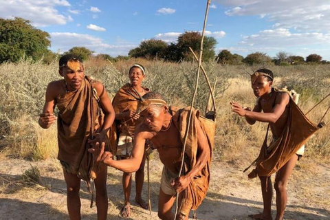 Maun: safari de 8 días por el delta del Okavango con acampada.Maun: safari de 8 días por el delta del Okavango con acampada