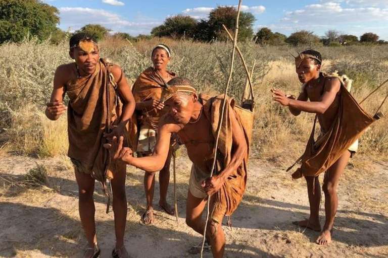 Maun: safari de 8 días por el delta del Okavango con acampada.Maun: safari de 8 días por el delta del Okavango con acampada