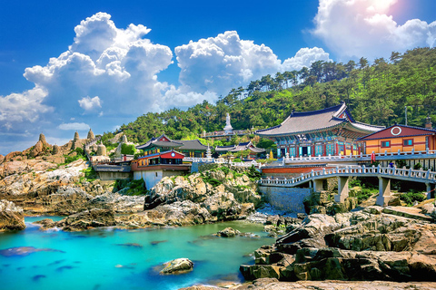 Busan Day Tour from Daegu:6 Highlights with Gamcheon Village Daegu ➔ Busan Drop-off