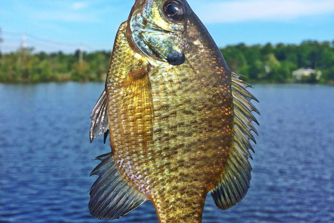 Baku: Guided Fishing Experience with Hotel Pickup