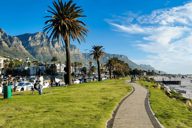 Cape Of Good Hope Private Half-Day, Hidden Gems Tour