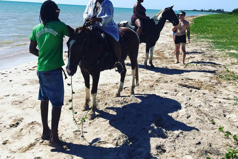 Randonnée à cheval et Rick's Café avec transport privéDepuis Montego Bay