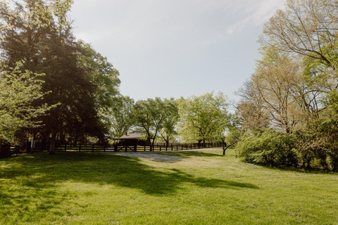 Nashville: Tour da Guerra Civil na Batalha de Belle Meade