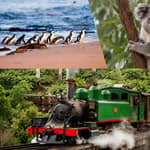 Puffing Billy, Phillip Island e Zoo per piccoli gruppi con prelievo in hotel