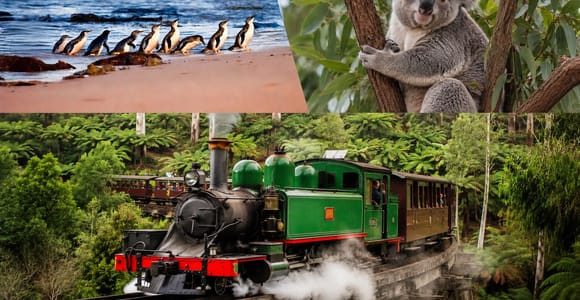 Puffing Billy Phillip Island & Zoo Small Group Hotel Pick Up