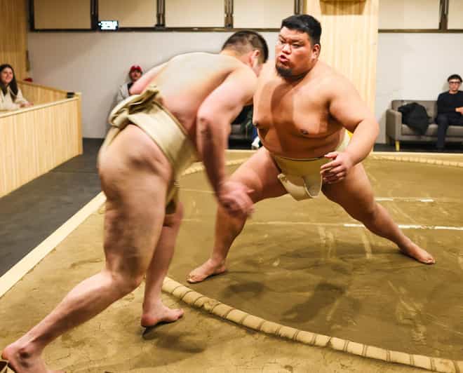 Tokio: Sumoshow en -ervaring in Shinjuku