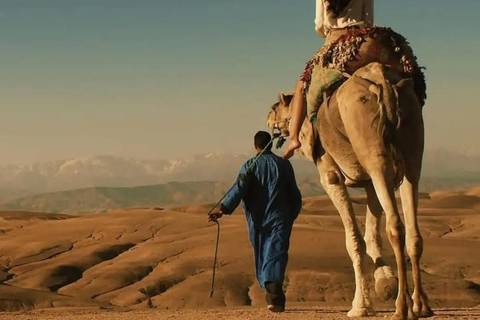 Una notte indimenticabile nel deserto: cena, giro in cammello e in quadNotte indimenticabile nel deserto: cena, giro in cammello e quad