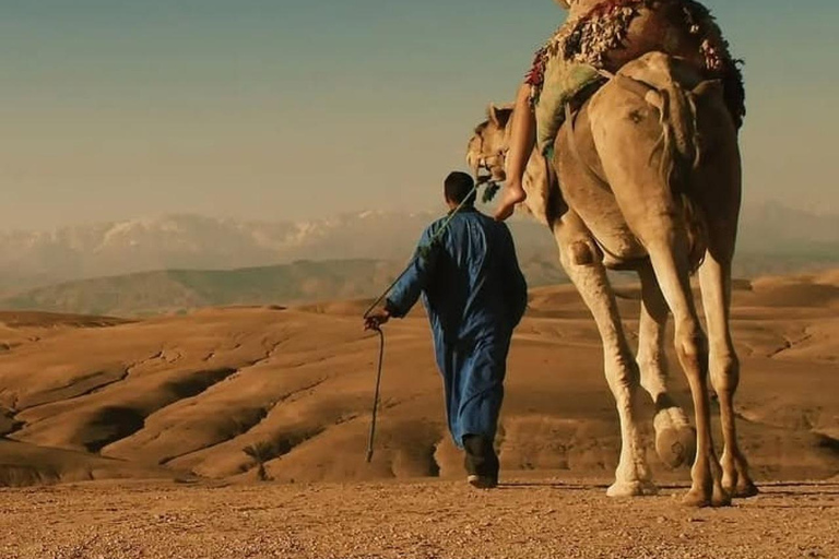Una notte indimenticabile nel deserto: cena, giro in cammello e in quadNotte indimenticabile nel deserto: cena, giro in cammello e quad