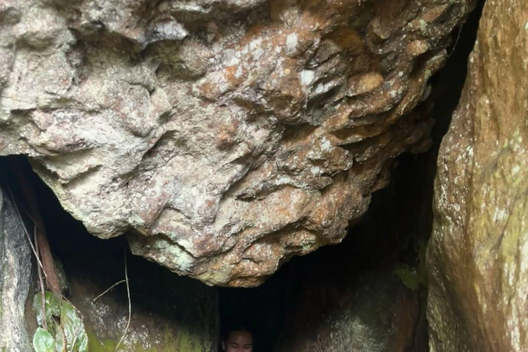 Hike through the Cloud Forest in Choachi, from Bogota