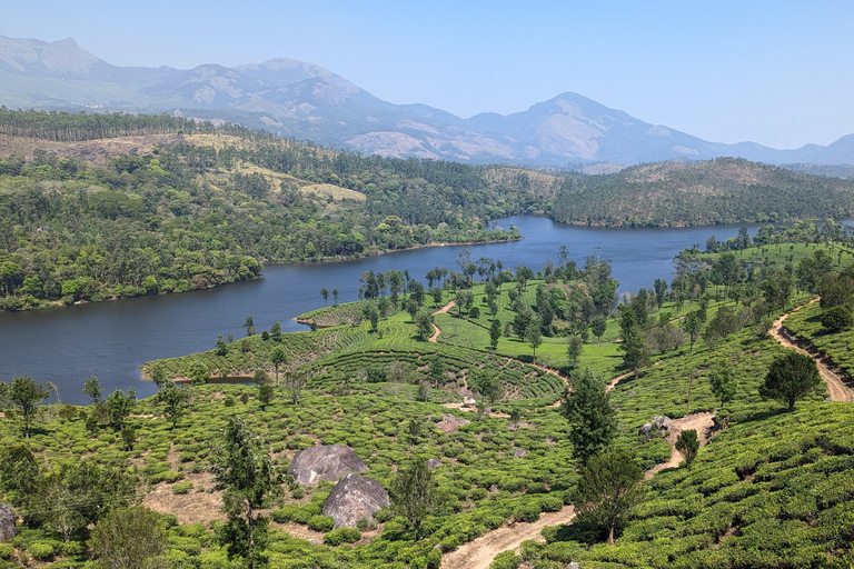 Tour in bici di 11 giorni alla scoperta delle spezie del Kerala