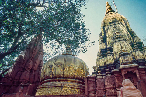 Visite d&#039;une journée à Varanasi avec Sarnath et tour en bateau