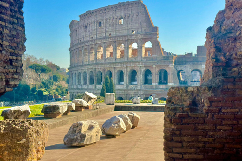 Rome: LATE BOOKING Colosseum, Forum & Palatine Entry passes Rome: Last Minute Colosseum, Roman Forum, Palatine Hill Tour