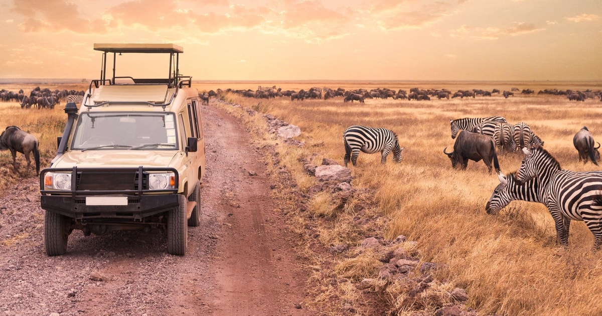 3Day Fly in & Out Zanzibar to Serengeti Premium Safari GetYourGuide