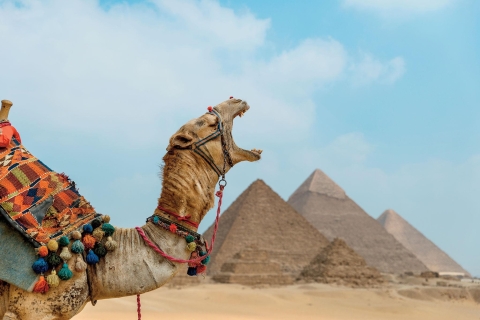 Wycieczka do piramid, Muzeum Egipskiego oraz pokaz świateł i dźwiękuprywatna wycieczka - odbiór z lotniska w Kairze