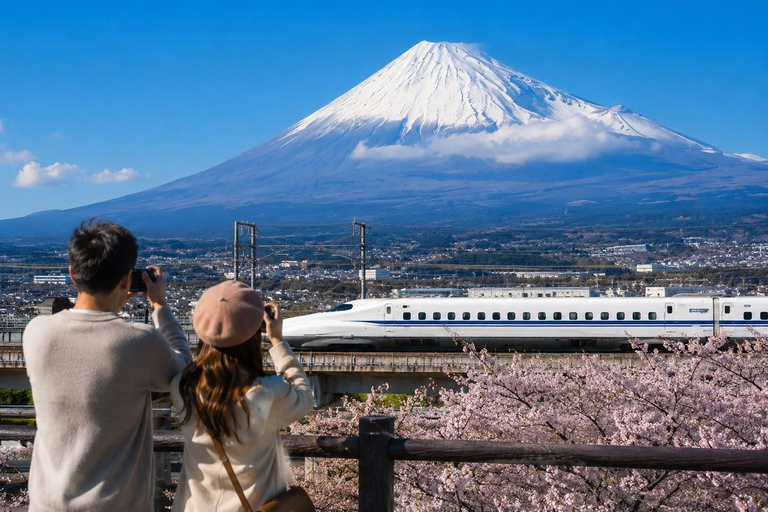 Fuji & Hakone Private Car Tour with Bullet Train Return