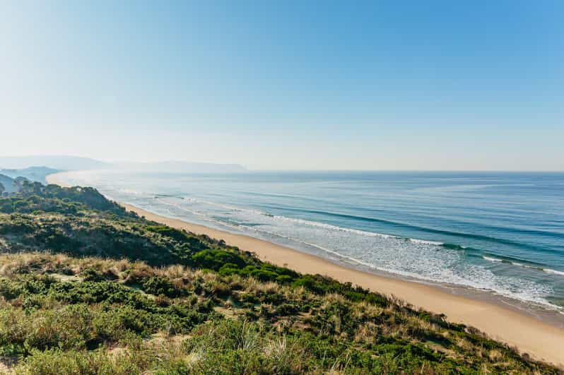 From Hobart/Adventure Bay: Bruny Island Wilderness Cruise | GetYourGuide