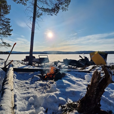 Visit IvaloSleighride Tour and Fishing on a Lake in the Wild in Ivalo, Finlandia