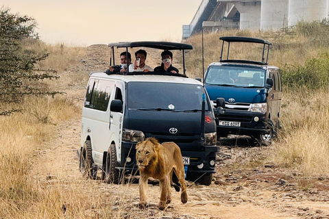 Nairobi Park Safari, Sheldrick's Orphanage & Giraffe Center Shared Drive in Open-Roof Van Game Drive