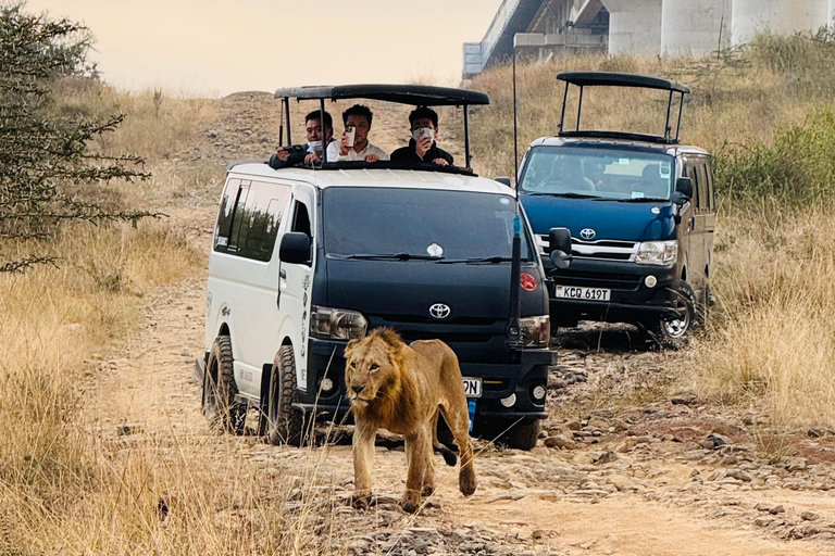 Nairobi Park Safari, Sheldrick's Orphanage & Giraffe Center Shared Drive in Open-Roof Van Game Drive