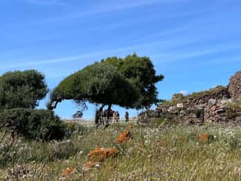 Gonnesa: Nuraghe Seruci Sunset Visit with Aperitif