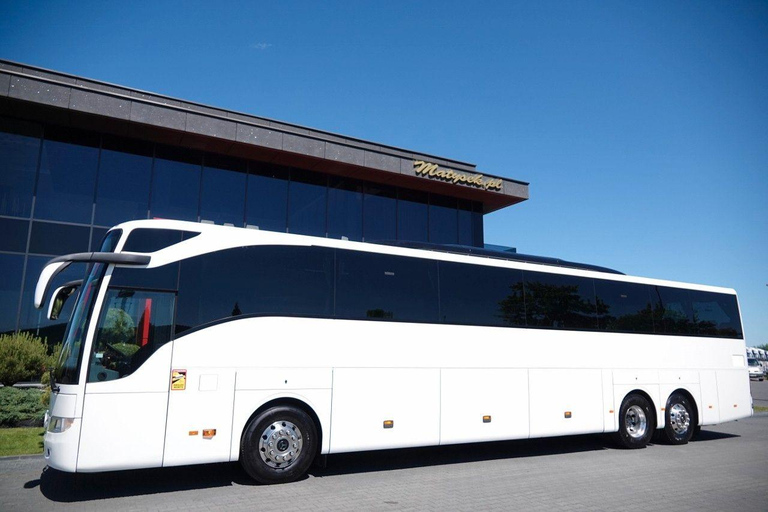 Katakolo Port: Ancient Olympia Bus Tour & Free Time
