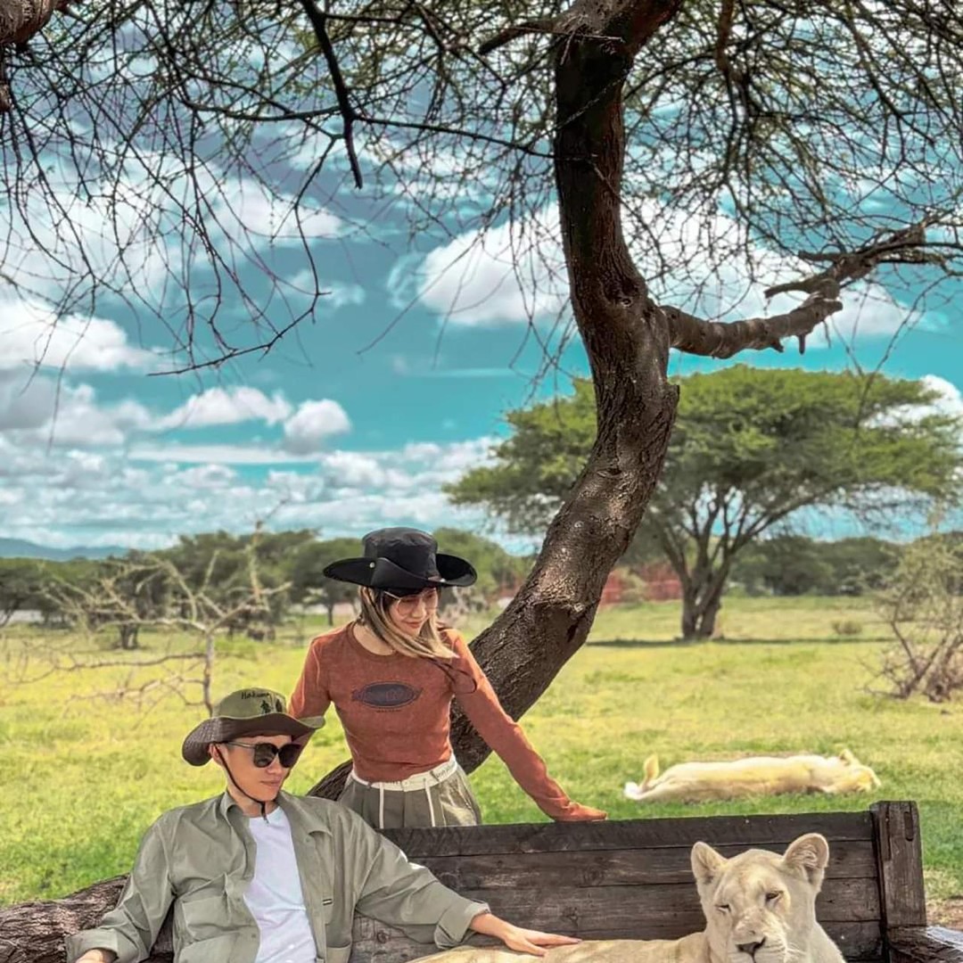 Galería de fotos para redes