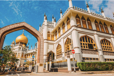 Drive & Dine:Mercedes Private Tour with a Taste of Singapore