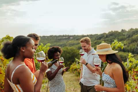 From Bordeaux: Afternoon Saint-Emilion Wine Tasting Trip