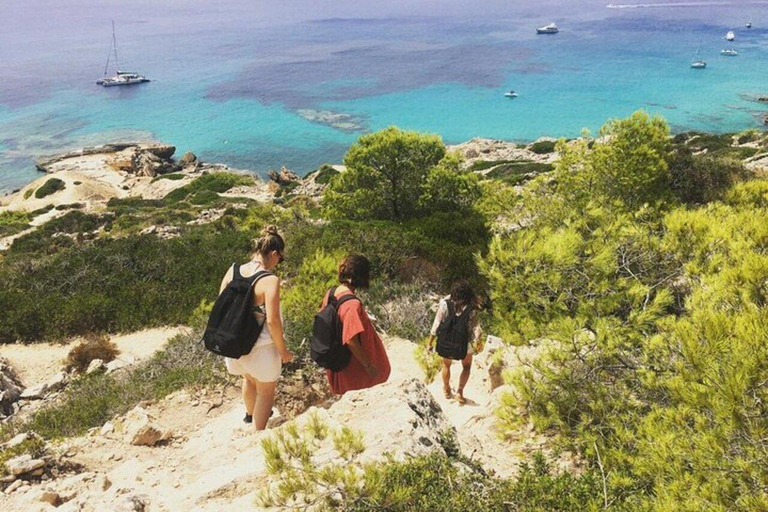 Mallorca: Hidden Beaches, Snorkeling & Natural Pools Tour