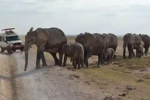 Desde Nairobi: Safari de 4 días por Amboseli y Tsavo con alojamiento