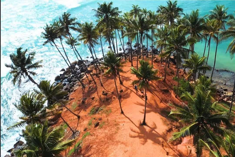 Sri Lanka Mirissa : Journée d&#039;observation des baleines bleues